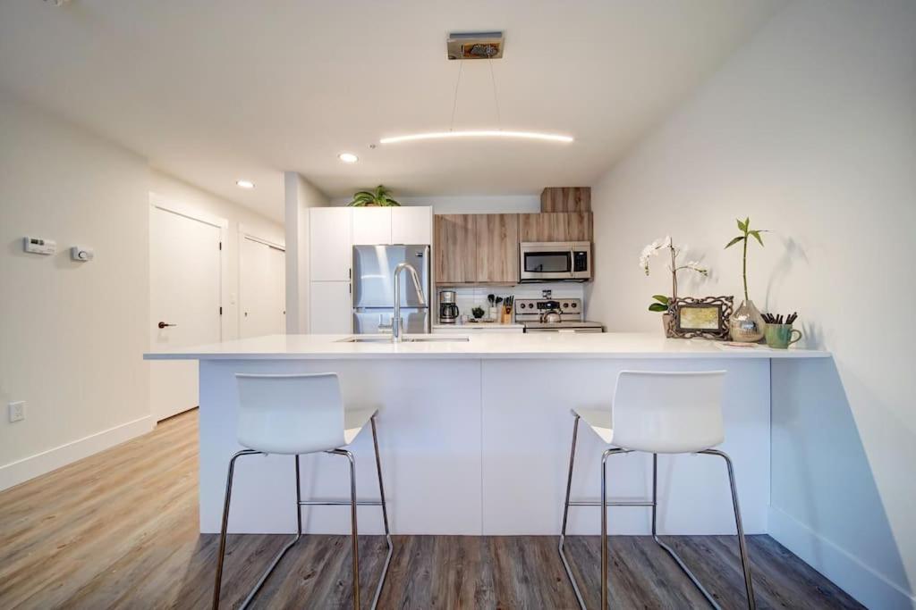 Luxurious Modern 2Br Condo Sleeps 5 Coffee, Ac, Wifi Χάλιφαξ Εξωτερικό φωτογραφία