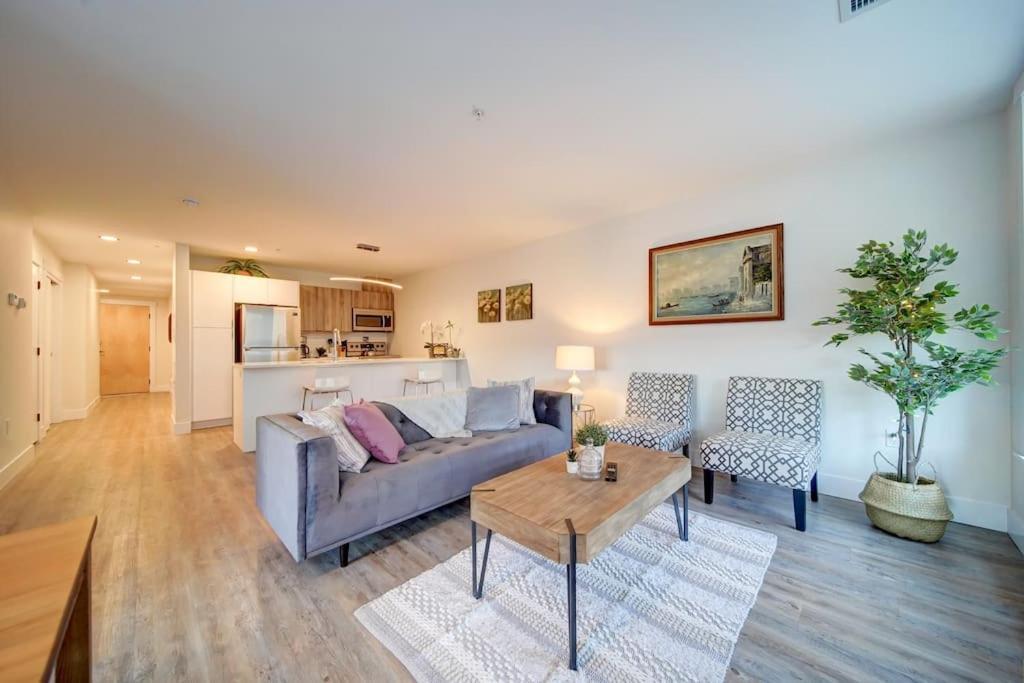 Luxurious Modern 2Br Condo Sleeps 5 Coffee, Ac, Wifi Χάλιφαξ Εξωτερικό φωτογραφία