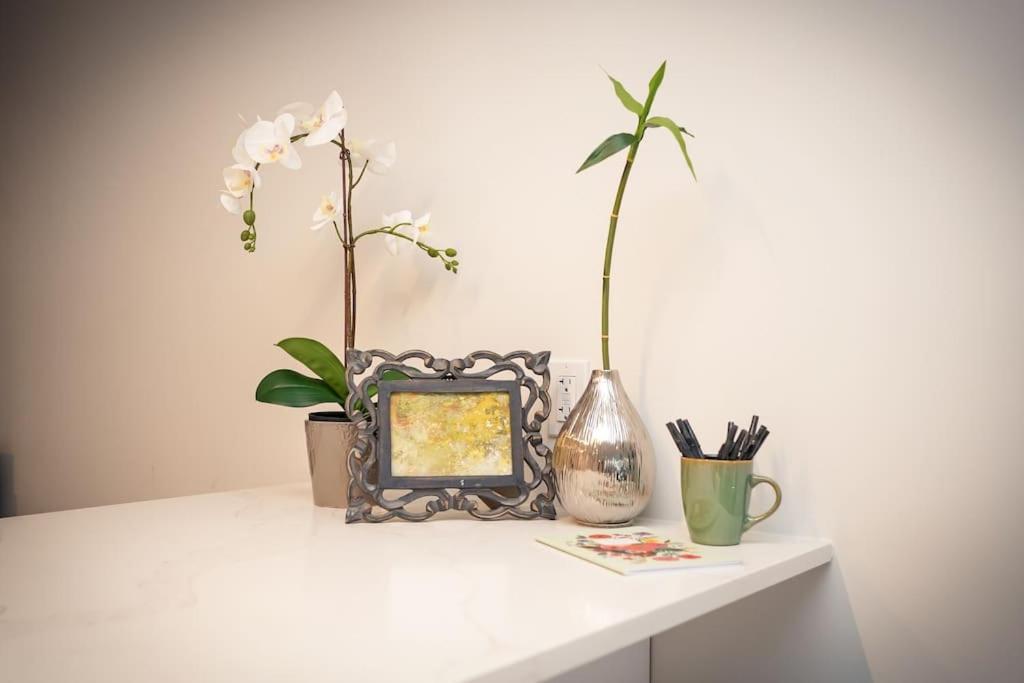 Luxurious Modern 2Br Condo Sleeps 5 Coffee, Ac, Wifi Χάλιφαξ Εξωτερικό φωτογραφία